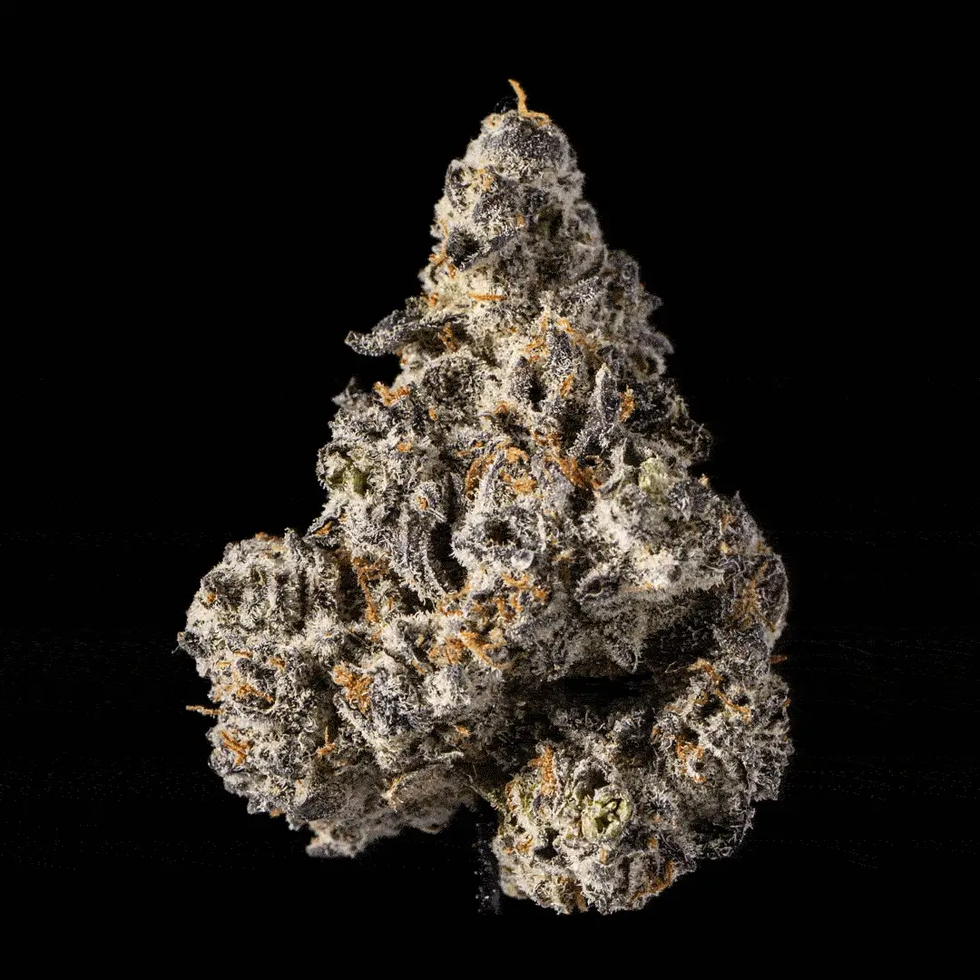 Oreoz - Image 6