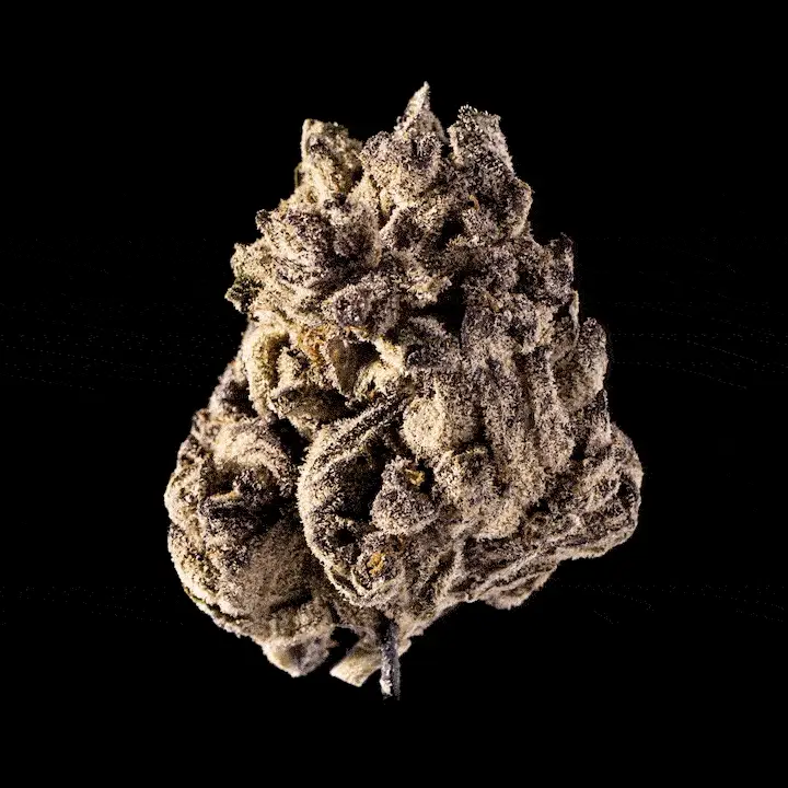Tropicana Cherry Cookies - Image 6